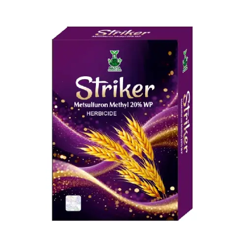 Striker