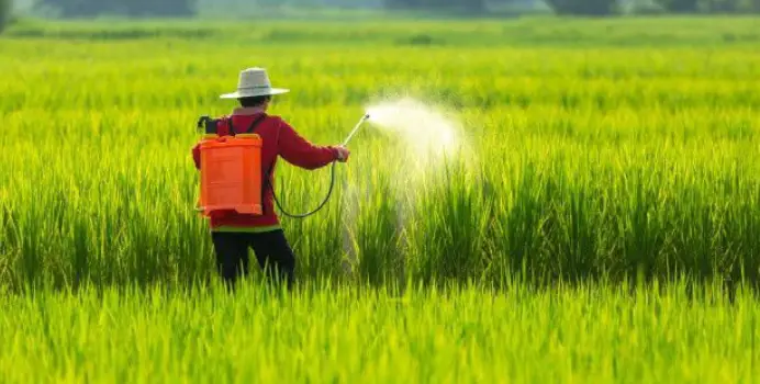 Insecticides