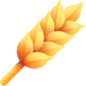 wheat